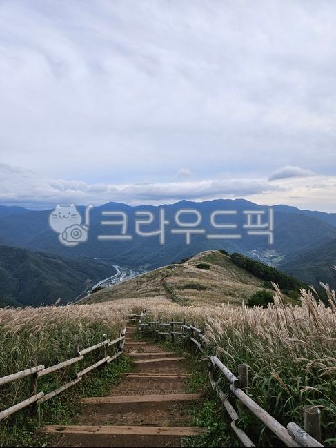 갈대, 자연, 하늘, 억새, 가을, 사진,이미지,일러스트,캘리그라피 - gsr66작가