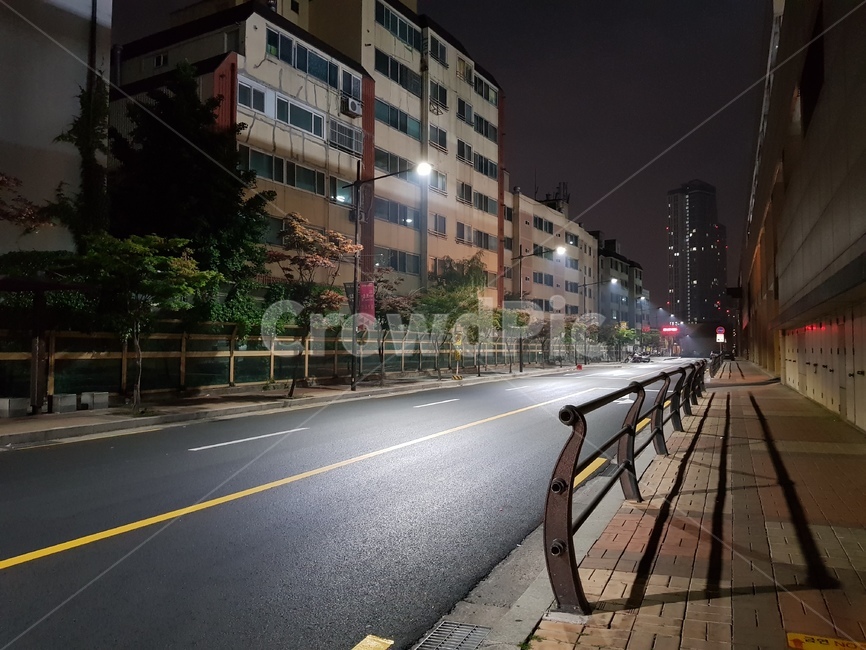 아스팔트,도로,도시,서울,야경,밤,길,인도,차도