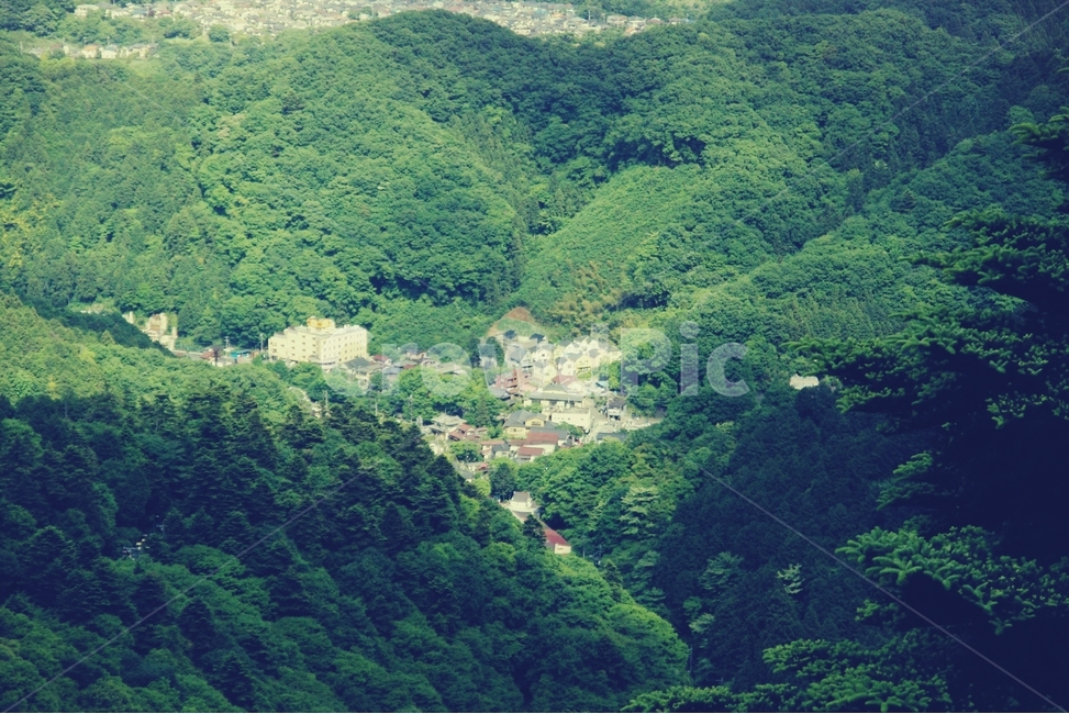 산,마을,스머프,스머프마을,집,동네,town,작은,small,숲,forest,mountain,자연,풍경,nature,landscape,시골,마을,country,rural,town,outdoors,옥외,scenery,vegetation,초목,plant,식물,경치