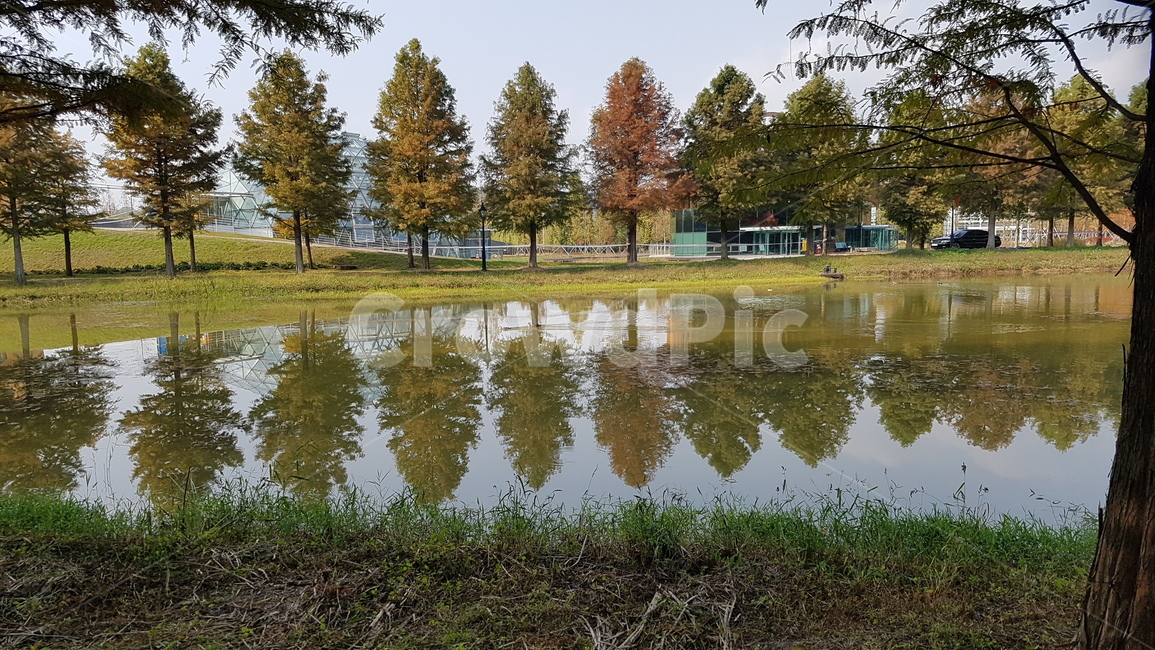 호수,나무,가을,tree,autumn,fall,단풍,lake,nature,water,plant,land,땅,식물,outdoors,maple,자연,풍경,nature,landscape,옥외,물