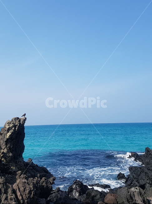 제주도,올레,바다,돌,새,파도,하늘,푸른,파랑,해양,자연,풍경,nature,landscape,제주도,jeju,jeju island,promontory,곶,outdoors,옥외,ocean,대양,water,물,sea,shoreline,해안선