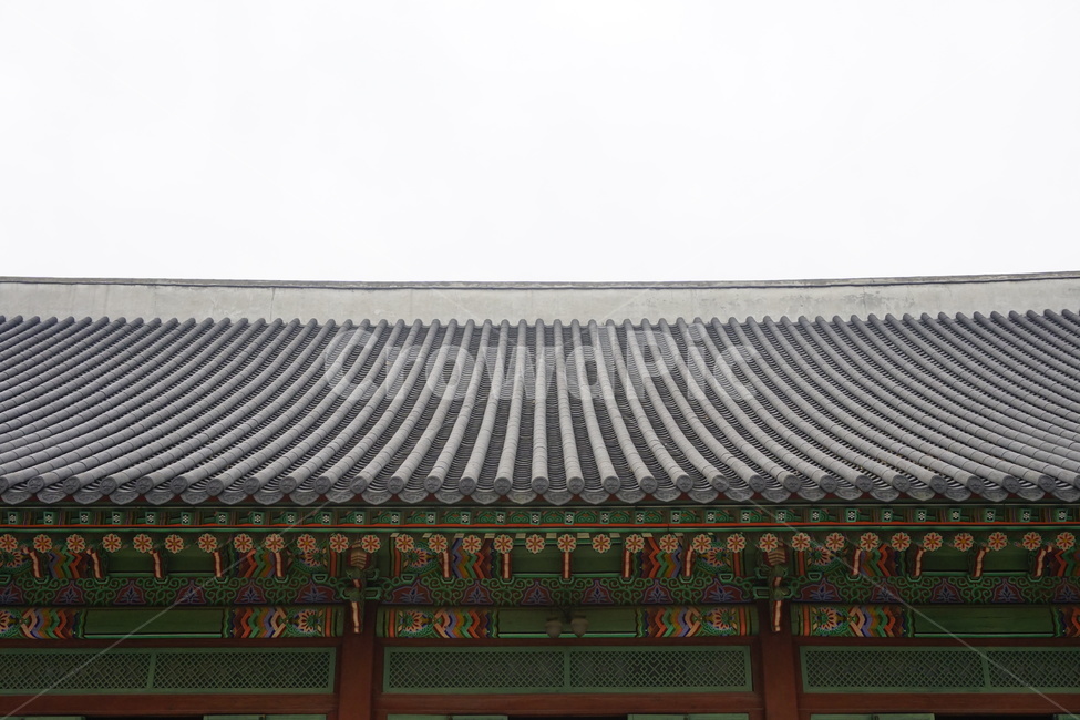 창덕궁,한국전통,한국,전통,건물,korea,traditional,palace,architect,기와,roof,한국전통,한국문화,korean traditional,korean culture,랜드마크,landmark,tourist attraction,한국랜드마크,한국관광지,한국명소,korea landmark,korea tourist attraction,건축물,건물외관,exterior,building,structure,architecture,construction