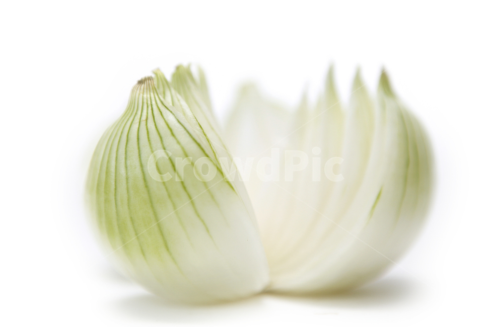 푸드,채소,양파,어니언,건강,음식,식재료,요리,food,cook,meal,dishes,food reserves,채소,야채,vegetables,누끼,remove background