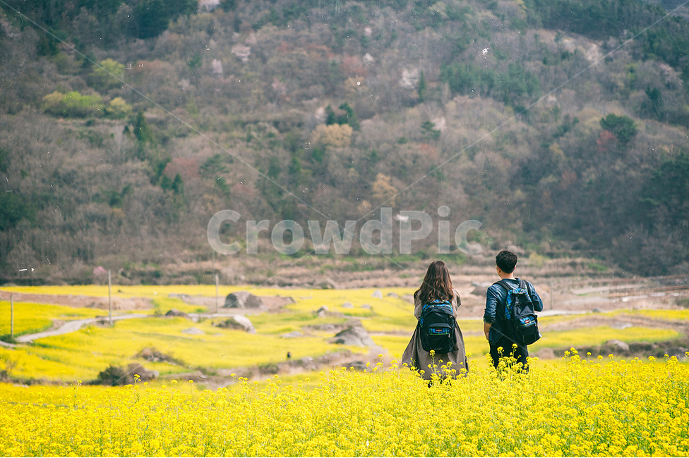 사랑,연인,유채꽃,데이트,여행,남해,바라보다,봄,계절,spring,season,자연,풍경,nature,landscape,사람,인물,인간,human,person,연인,커플,사랑,lover,couple,여행,휴가,traveling,vacation,trip,field,들,outdoors,옥외,grassland,목초지