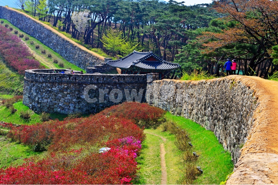 고창,고창읍성,모양성,봄,벚꽃,철쭉,철쭉꽃,계절,scenery,풍경,landscape,경치,nature,자연,outdoors,옥외,plant,식물,flower,blossom,꽃,human,인간,person,사람