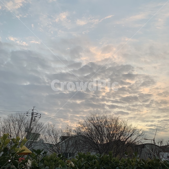 하늘,구름,skyview,cloud,오후,자연,풍경,nature,landscape,outdoors,옥외