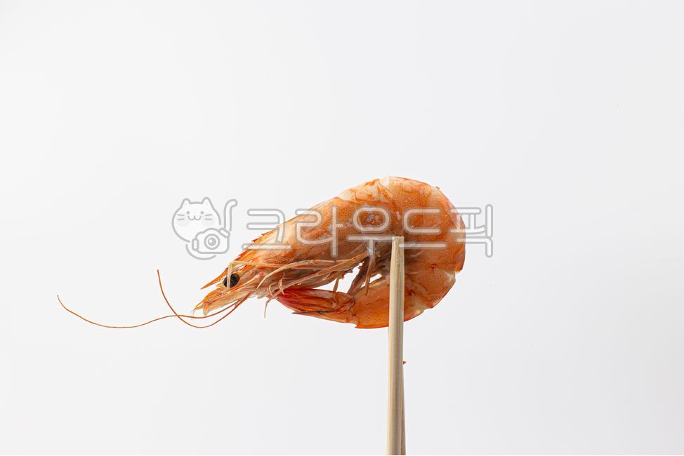 새우,대하,새우구이,소금구이,흰다리새우,해산물,수산물,음식,해물