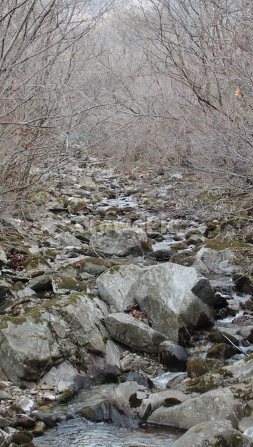계곡,풍경,겨울계곡,개울,계곡물,바위,자연,풍경,nature,landscape,rubble,파편,slate,슬레이트
