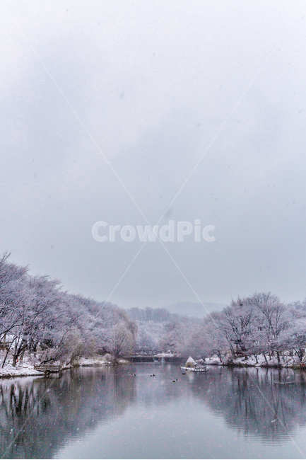 설경,반영,저수지,풍경,겨울,겨울,계절,winter,season,자연,풍경,nature,landscape,한국자연풍경,한국자연경관,korea nature landscape,scenery,panoramic,파노라마,outdoors,옥외,경치,plant,식물