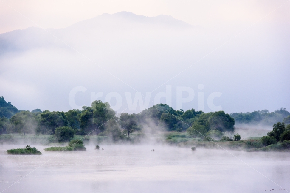 풍경,습지,금강,강,안개,운해,landscape,자연,풍경,nature,landscape,weather,날씨,outdoors,옥외