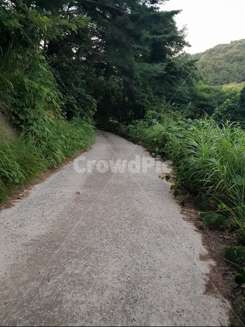 가산,가산산길,산길,길,산,한국풍경,풍경
