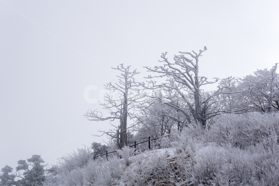 겨울풍경,겨울,눈,눈꽃,자연,풍경,감성,겨울,계절,winter,season,자연,풍경,nature,landscape,outdoors,옥외,snow