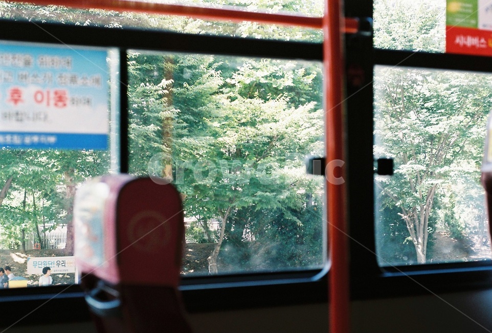 human,bus,시내버스,window,여름,summer