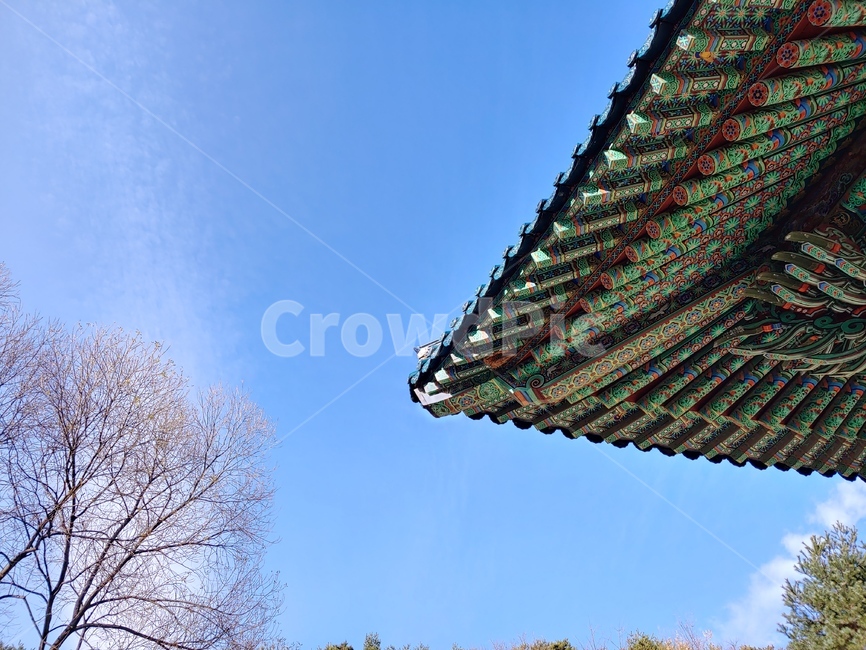 문화재,sky,하늘,blue,절,temple,building,건물,한국문화재,한국,처마,기와,풍경,한국전통,한국문화,korean traditional,korean culture