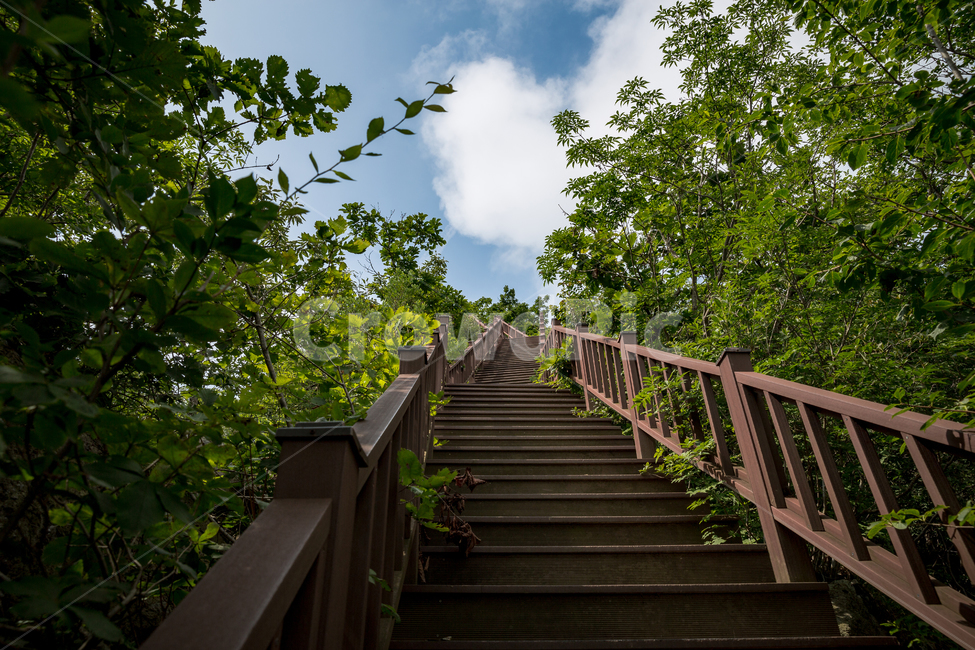 등산,산,추월산,전망대,풍경,전망,자연,풍경,nature,landscape,handrail,난간,banister,railing