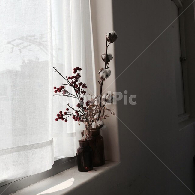 꽃,꽃병,화분,창가,커피