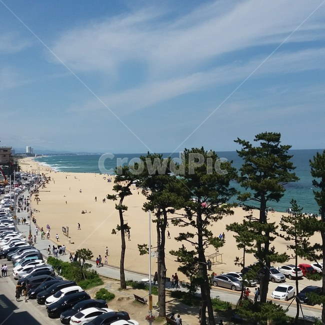 안목해변,휴가,여름,바다,강릉,강원도,동해바다,커피거리,해변,바다,beach,sea,사람들,대중,군중,other people,crowd