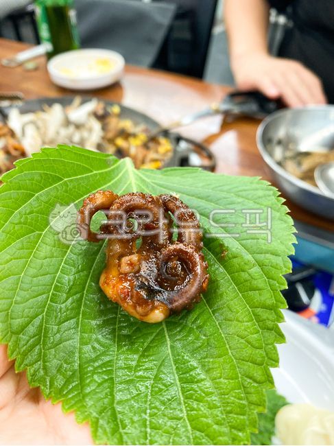 Octopus wrap,Octopus perilla leaf wrap,Webfoot octopus,Sesame