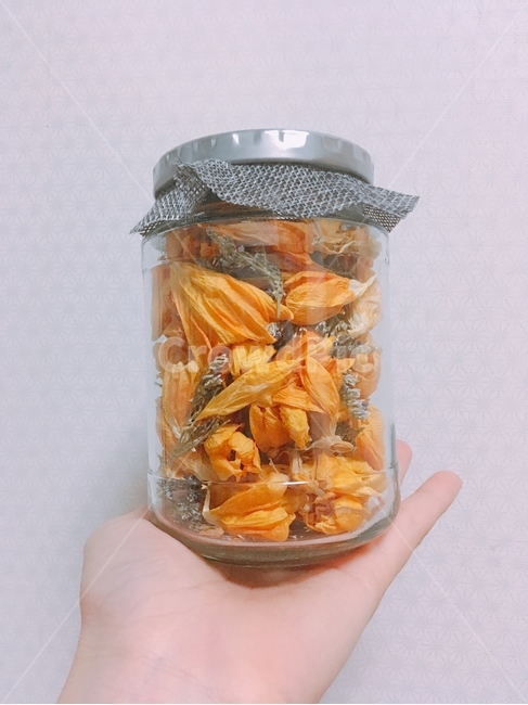 프리지아,말린꽃,꽃병,노란꽃,드라이플라워
