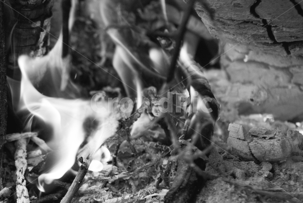 불,fire,불꽃,캠프파이어,장작,숯