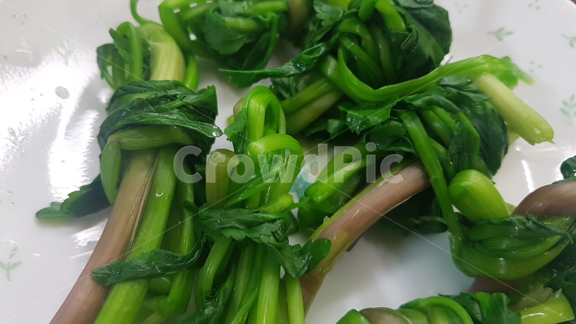 plant,식물,food,미나리,데친미나리