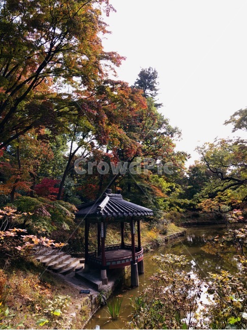 changdeokgungpalace,창덕궁,창덕궁후원,한국관광지,유명관광지,한국궁궐,풍경,경치,낙엽,architecture,building,가을,계절,fall,autumn,season,outdoors,옥외
