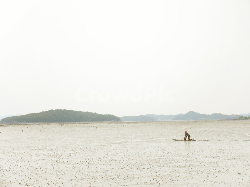 뻘배,갯벌,뻘,간조,어촌,어획,바다,물빠진바다,어업,fishery,fishing industry