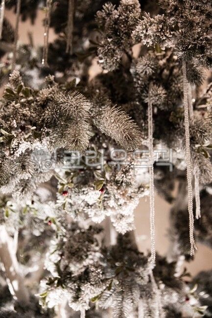 흰눈,흰색,하얀색,흰눈꽃,하얀크리스마스,트리,성탄절,크리스마스트리,whitesnow,white,whitesnowflake,whitechristmas,tree,christmas,christmastree,겨울,계절,winter,season,메리크리스마스,성탄절,merry christmas