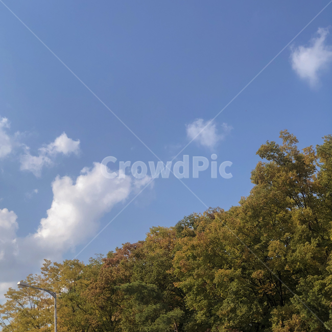 nature,자연,weather,날씨,outdoors,옥외,cumulus,sky,하늘,cloud,구름,가을,계절,fall,autumn,season