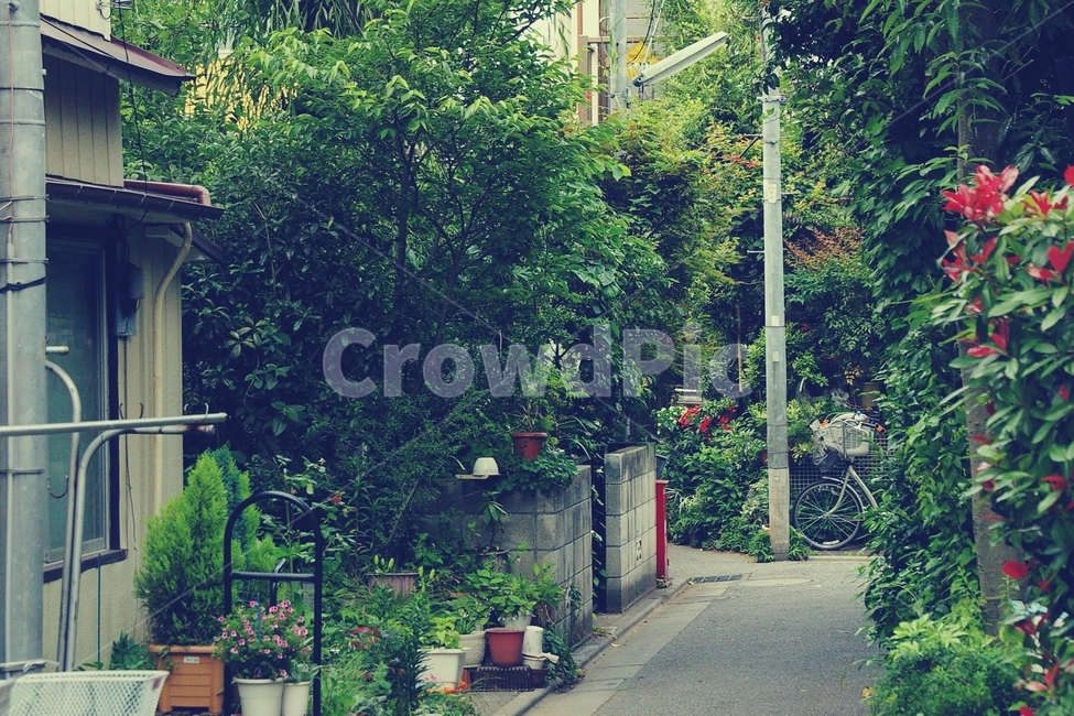 골목,길,alley,동네,마을,town,타운,road,화분,나무,tree,도시,풍경,city,landscape,골목길,alley,해외,외국,세계,foreign,oversea,world,세계도시풍경,해외도시풍경,외국도시풍경,world cityscape,감성,sensible,feeling,outdoors,옥외,garden,정원