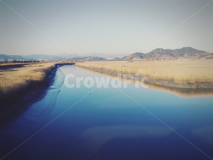 순천,갈대,힐링,강,자연,자연,풍경,nature,landscape,ditch,도랑