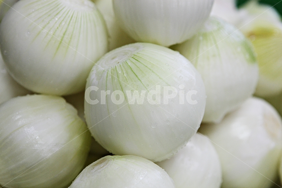 양파,깐양파,채소,뿌리채소,식재료,먹거리,양념,자연,음식,식재료,요리,food,cook,meal,dishes,food reserves,채소,야채,vegetables