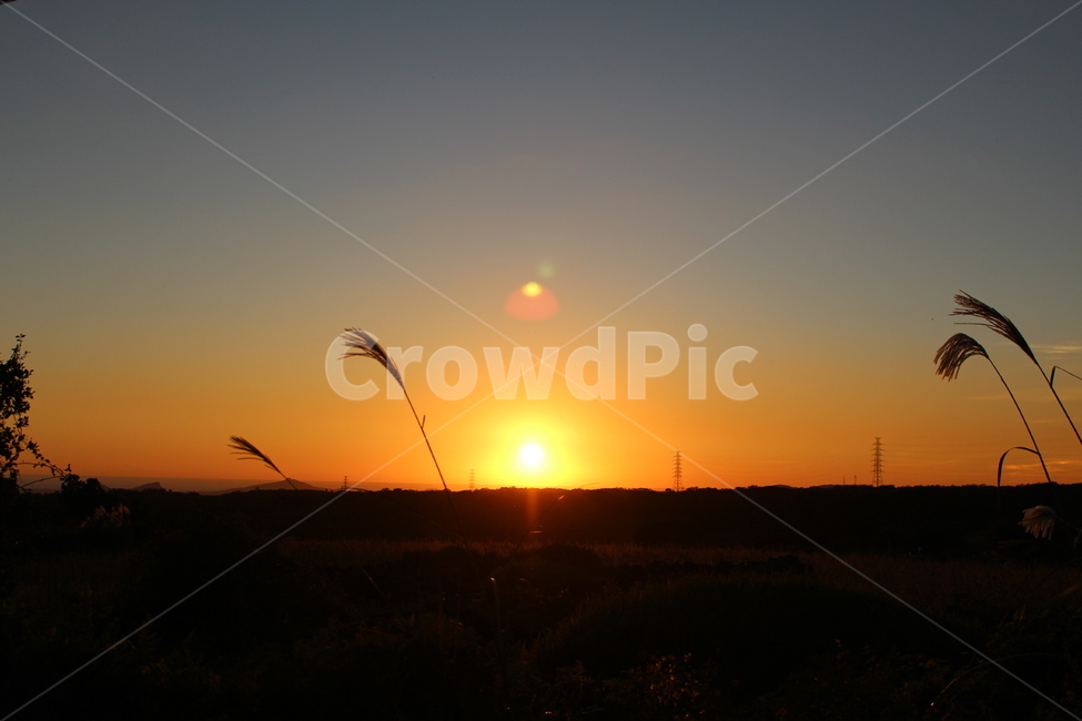 해질녘,가을,갈대,노을,석양,붉은노을,선셋,sunset,일몰,해넘이,자연,풍경,nature,landscape,outdoors,옥외,sky,하늘,dusk,황혼,dawn,새벽,red sky,붉은 하늘