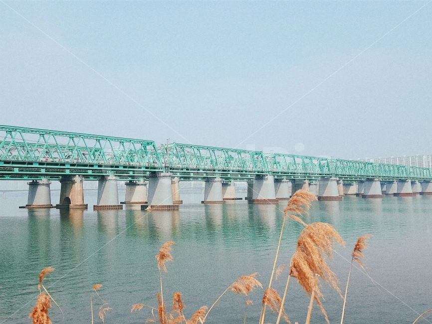봄,자연,하늘,한강,철도,다리,감성,감성사진,햇살,햇빛,갈대,skt,hanriver,river,spring,sunshine,nature,film,식물,자연,plants,nature,교통,교통수단,traffic,transportation,water,물,강,outdoors,옥외
