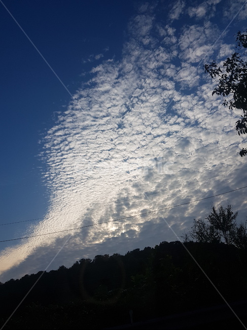 적운,cumulus,구름,하늘,cloud,nature,weather,날씨,outdoors