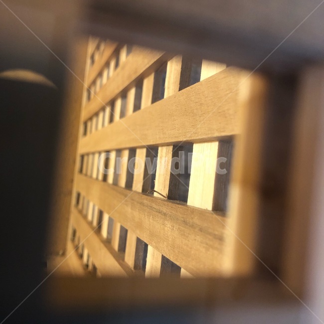 나무,구멍,공간,네모,사극