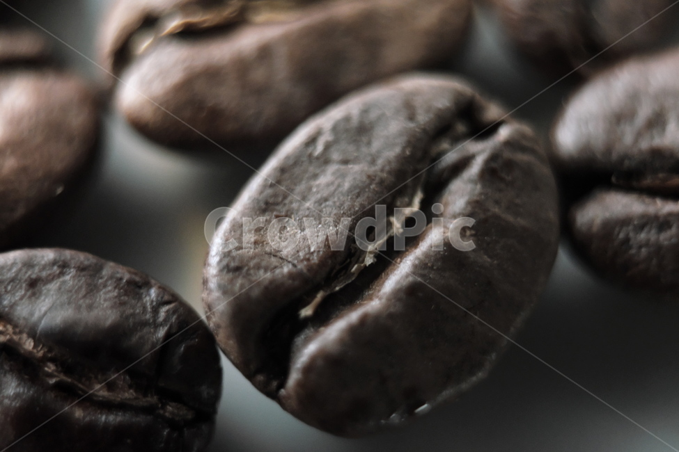 커피,원두,콩,빈,bean,카페,로스팅,로스팅원두,커피,카페,coffee,cafe