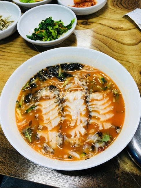 음식,전북,물회,제주도,바다,food,water,susi,음식,식재료,요리,food,cook,meal,dishes,food reserves,수산물,해산물,fishery products,seafood,한식,한국음식,한국요리,korean food,korean dishes,korean meal,korean cook