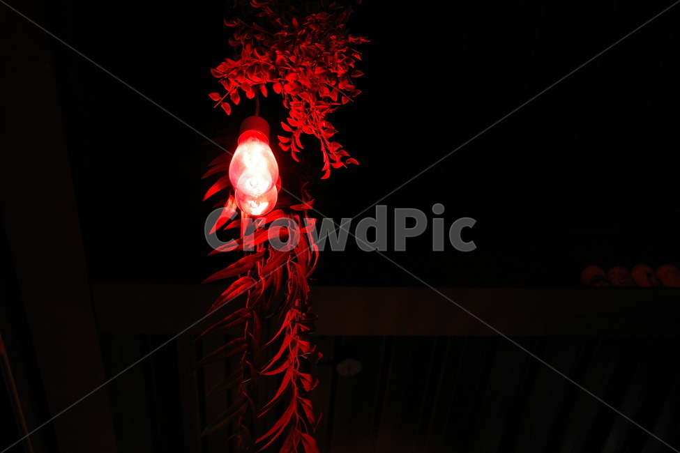 전등,red,빨강,나뭇잎,저녁