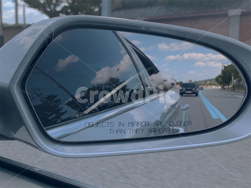 자동차사이드미러,강아지,자동차,차선,바람,조수석,sidemirror,puppy,dog,wind,car