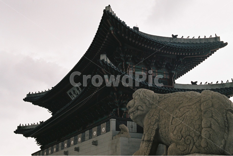 광화문,경복궁,해태,한국,경복궁정문,궁궐,법궁,조선,한국전통,한국문화,korean traditional,korean culture,랜드마크,landmark,tourist attraction,한국랜드마크,한국관광지,한국명소,korea landmark,korea tourist attraction,건축물,건물외관,exterior,building,structure,architecture,construction