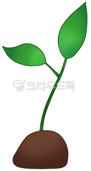 Sprout drawing,sprout image,sprout plant,spring vegetable,vegetable drawing,vegetable illustration,spring drawing,spring image,spring illustration,sprout illustration,baby vegetable,young leaf vegetable