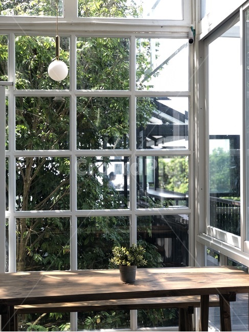 cafe,카페,채광,sunlight,유리창,화분,plant,인테리어,실내디자인,interior design