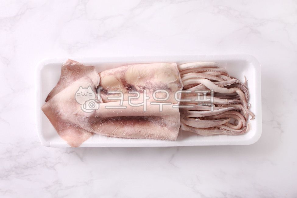 오징어,냉동오징어,수산물,식재료,연채동물,해양생물,해산물,생물,생선,음식,식재료,요리,food,cook,meal,dishes,food reserves