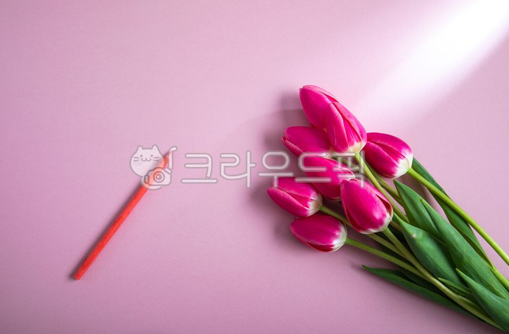 꽃,튜울립,빨간튜울립,빨간꽃,봄꽃,봄,꽃잎,칼라지,색지,종이,색종이,배경지,아름다운,식물,색연필,팬,연필,붉은꽃,배경,folwer,blossom,tulip,redtulip,redflower,spring,springflowers,cikiroaoer,coloredpaper,paper,confetti,background,backgroundpaper,plant,petal,beautiful,pan,colorpencil,pencil,예쁜,pretty,향기로운,fragrant,꽃봉오라,flowerbuds