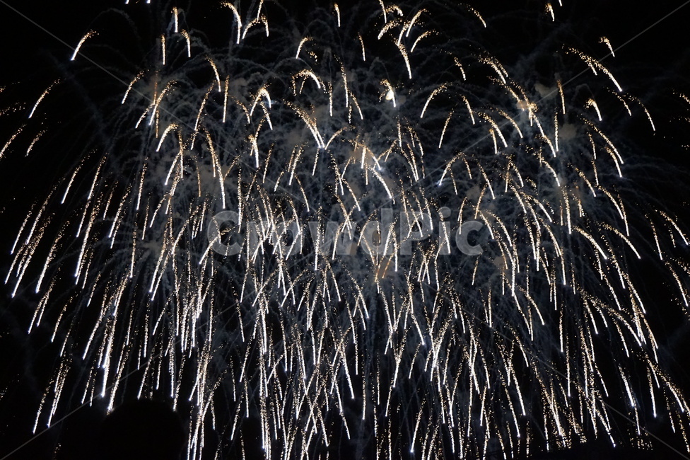 불꽃놀이,축제,야경,밤하늘,불꽃,fireworks,화려한,화려함,빛나는,빛,밤,night,감성사진,감성,반짝이는,폭죽,festival,공주백제문화제,백제문화제,야경,밤,풍경,nightscape,night,landscape,축제,행사,festival,carnival,event,nature,자연,outdoors,옥외