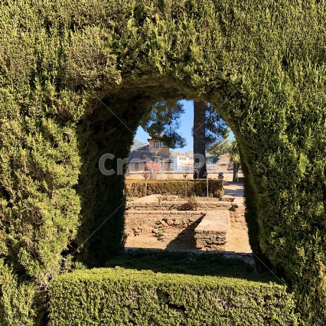 outdoor,야외,green,공원,park