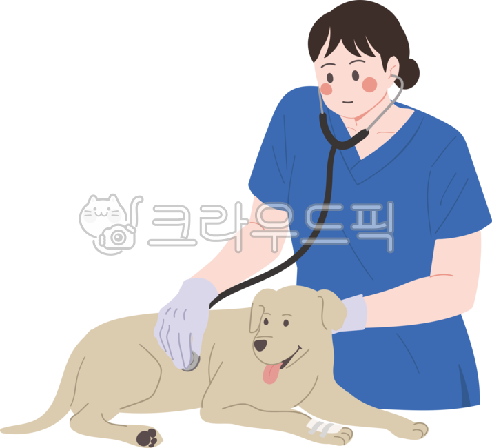 애완견,애완동물,반려동물,친구,가족,동물,개,펫,귀여운,캐릭터,일러스트,일러스트레이션,성견,dog,animal,pet,puppy,중형견,대형견,산책,여자,여성,사람,청년,의사,수의사,강아지,치료,부상,장갑,동물병원,전문가,청진기