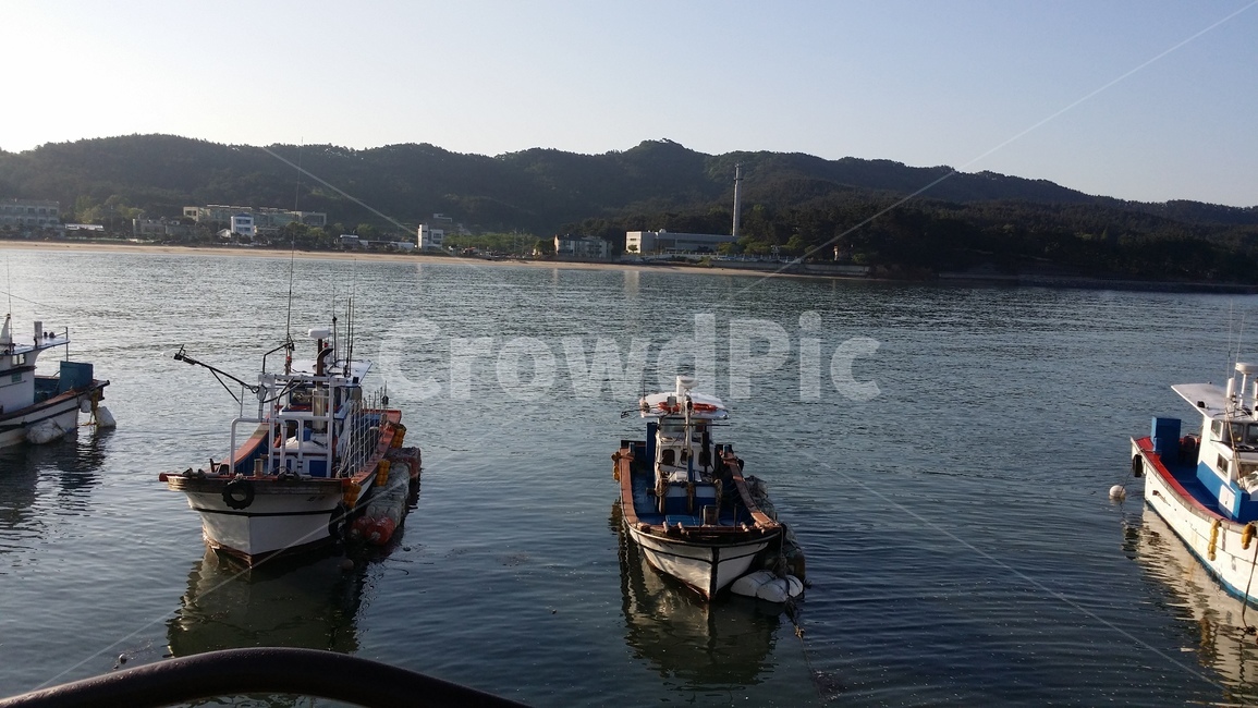 배,바다,항구,선착장,낚시