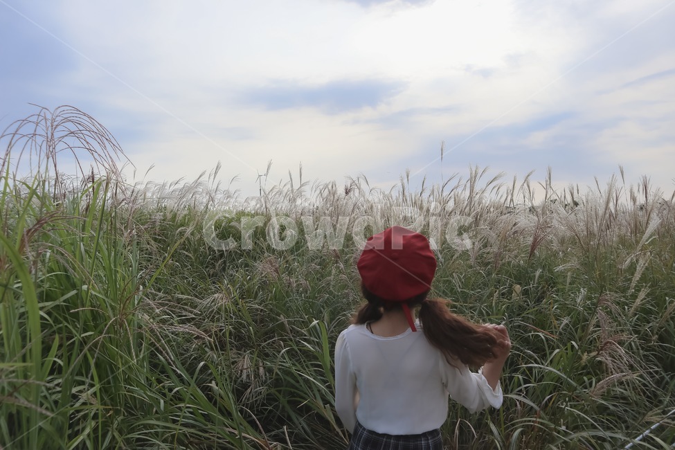 하늘공원,갈대,억새,가을,풍경,하늘,가을하늘,가을,계절,fall,autumn,season,사람,인물,인간,human,person,여성,여자,woman,female,lady,bonnet,보닛,hat,모자